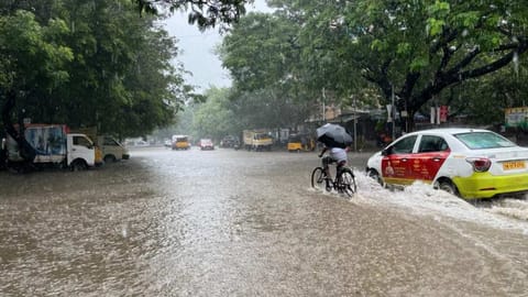 The weather department has also predicted thunder and lightning in the next 24 hours