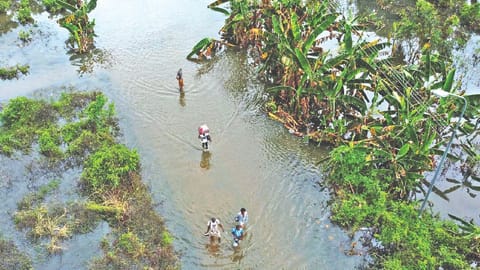Chaotic Future: Climate pledges are falling short