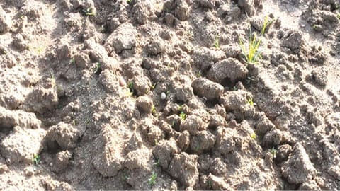 A dry patch of soil in Thoothukudi district