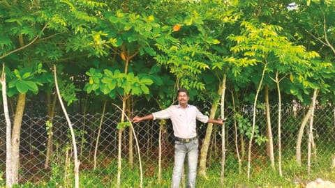 M Kalaimani in front of a Miyawaki forest created by Vanam, his organisation