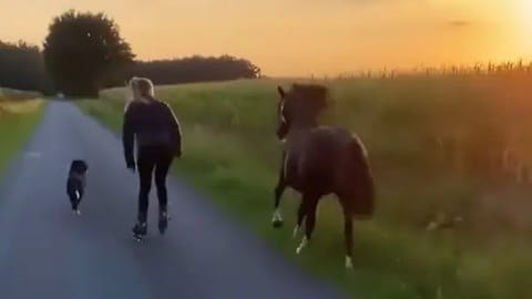 Screengrab from video