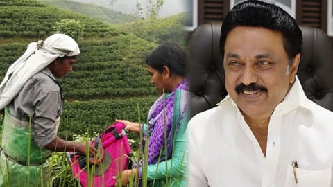 CM Stalin (R)