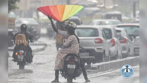 NE monsoon: TN records less rainfall than average