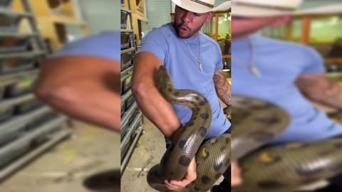 Screengrab from the video