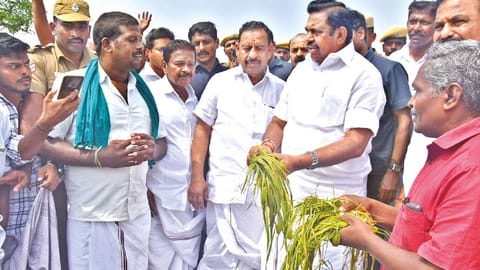 Leader of Opposition Edappadi K Palaniswami inspecting the damages to crops due to flooding in Mayiladuthurai on Wednesday