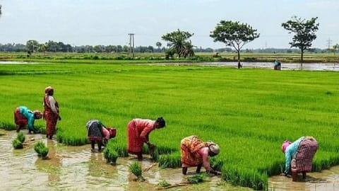 Tanks full, but farmers peeved as water assns starved of funds