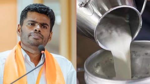 Tamil Nadu BJP President K Annamalai