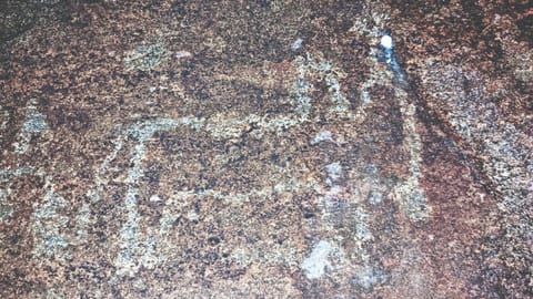 A painting of bull in a natural cave at the base of Sivamalai near Vettavalam in Tiruvannamalai district.
