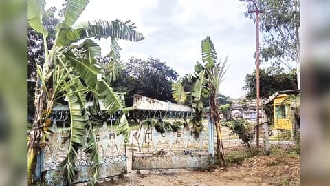 The well-decked mill premises, which missed the pooja for cane crushing season in Tirupattur