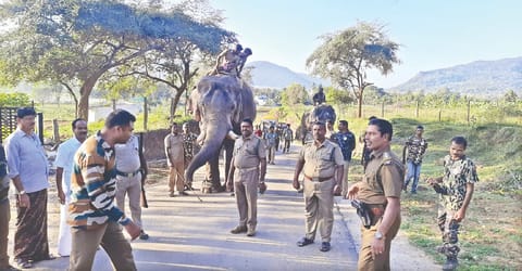Forest department patrol with kumkis