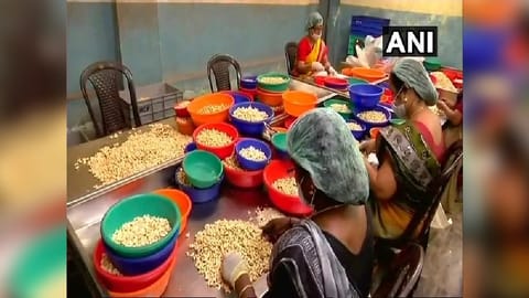 Indian cashew processors cashing in on demand