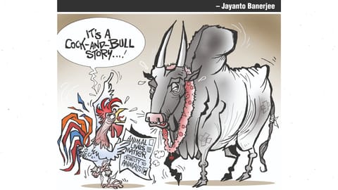 Toon of the day