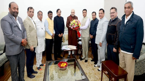 Goa CM-led delegation meets Amit Shah over Mhadei river issue