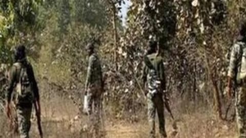 Three soliders die slipping into deep gorge
