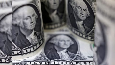 Dollar banknotes are seen in this illustration taken.
