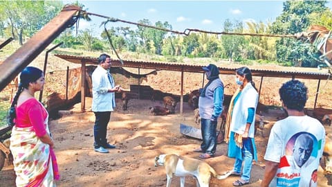 Animal Husbandry Department officials inspect a piggery in Masinagudi in The Nilgiris on Thursday