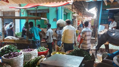 Steady inflow of vegetables brings prices down in Chennai