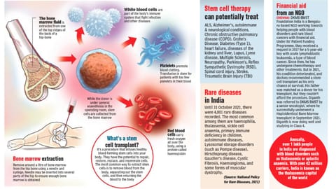 Cells that offer hope