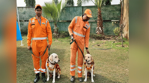 NDRF members with dog squad members Rambo and Honey