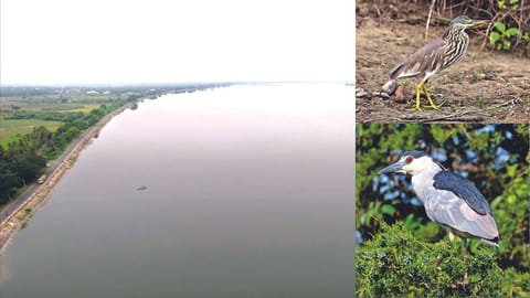 Aerial view of Veeranam lake