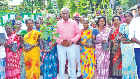 Former Ranipet Collector Baskara Pandian distributing saplings hours before handing over charge on Sunday