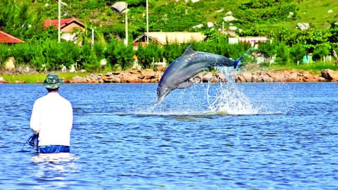 Sonic boom: Who’s using vocal fry in the ocean? Dolphins and whales