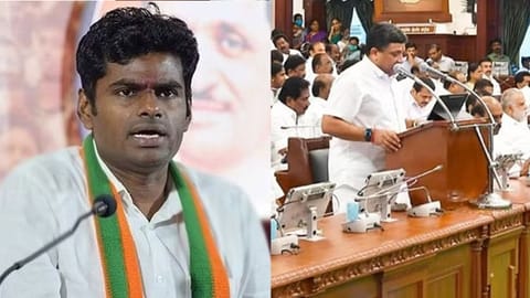 (L)  TN BJP Chief Annamalai; Finance Minister Palanivel Thiaga Rajan