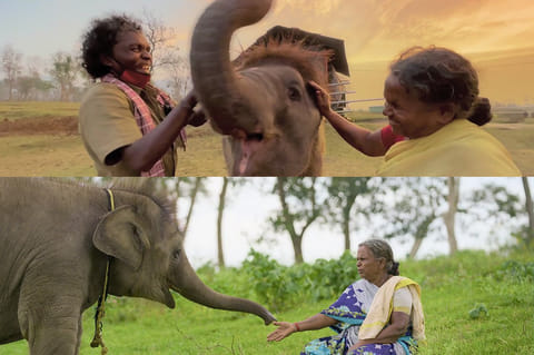 A still from the film