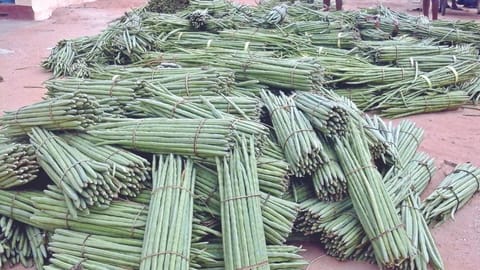 Moringa bundles at Aravakurichi in Karur waiting for transportation