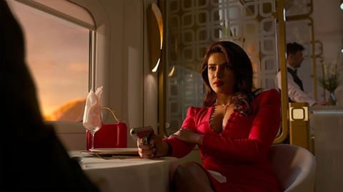 Priyanka Chopra's look from Citadel