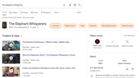 Google searches for 'The Elephant Whisperers' skyrocketed 8,164%