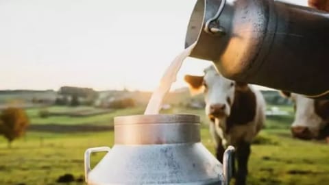 TN milk traders protest seeking hike in procurement price