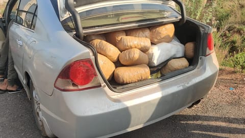 Seized ganja