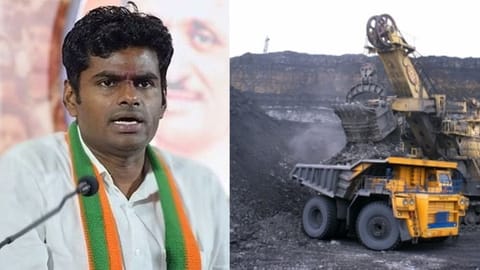 State BJP president K Annamalai; Representative image