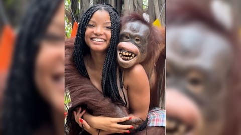 Halle Bailey