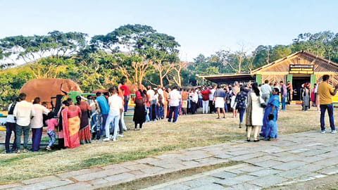 Tourists at Theppakadu elephant camp in Mudumalai