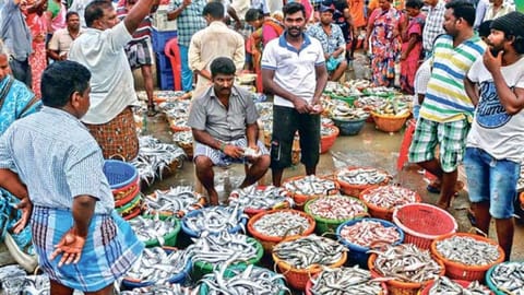 Kasimedu fish market (File photo)