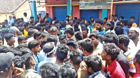 Bull runs into car, event stalled in Vellore