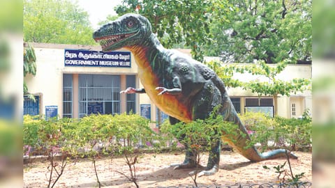 Vellore govt museum