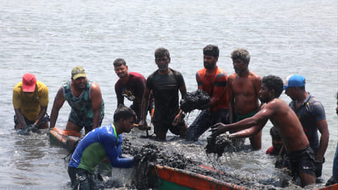Fishers from Ennore remove invasive species