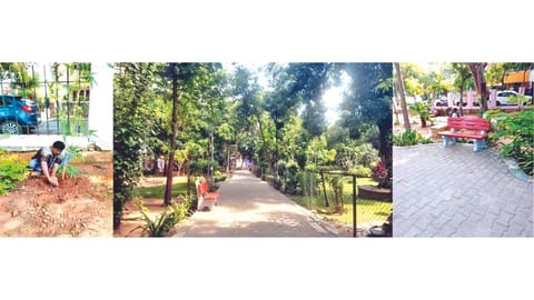 GCC carries out beautification works in city parks for summer