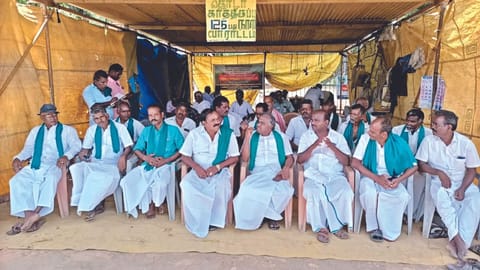 Farmers supplying canes to the Thirumangudi sugar factory have been protesting for the past 125 days