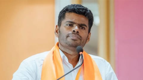 TN BJP president K Annamalai (File)