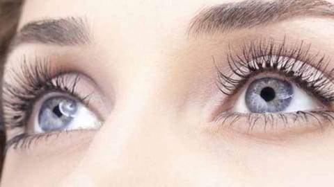 Study reveals human eyes play 'tricks' on minds