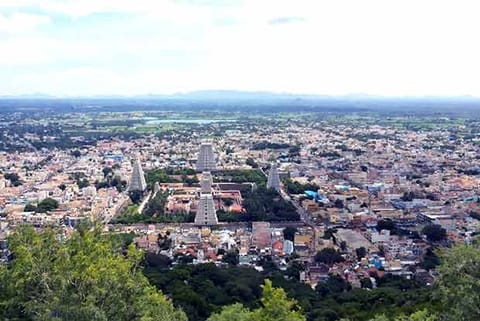 Spiritual  tourism taking off in Tiruvannamalai