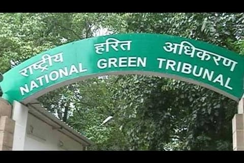 NGT forms committee to check pollution during functions at banquets, hotels