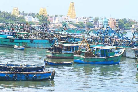 A fleet of mechanised fishing boats remain anchored at Rameswaram on Sunday