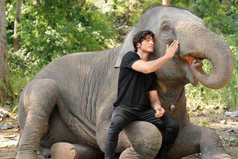 Vidyut Jammwal in 'Junglee'