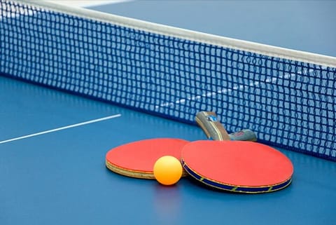 SAG 2019: India claim men's and women's team gold in TT