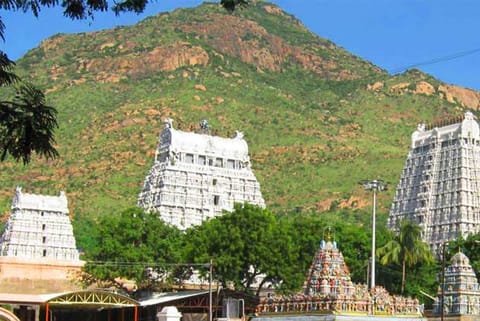 Devotees carrying non-plastic bags to Tiruvannamalai temple can be lucky winner of gold, silver coins
